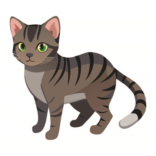 Cat Lovers Theme American Shorthair Cat Transparent Sticker